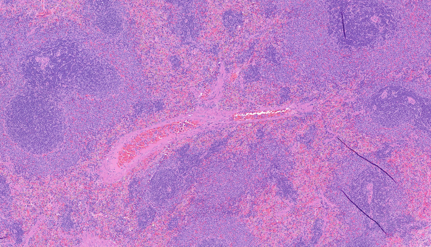 3B9EB028-207A-4e46-BFA9-DD5306BF4E1C